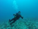 Hawaii Scuba divng 36