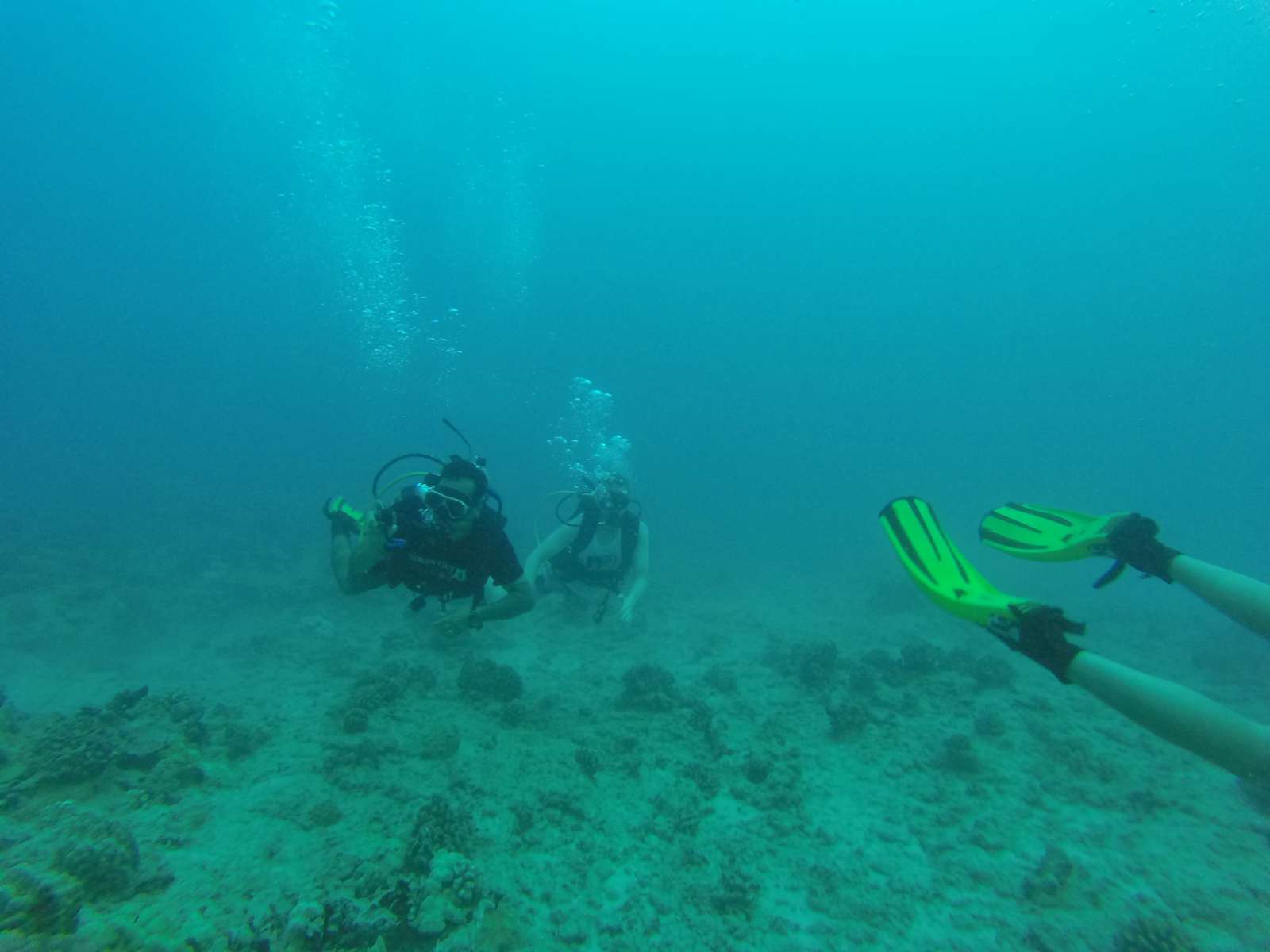 Hawaii Scuba Diving - 06-05-2016