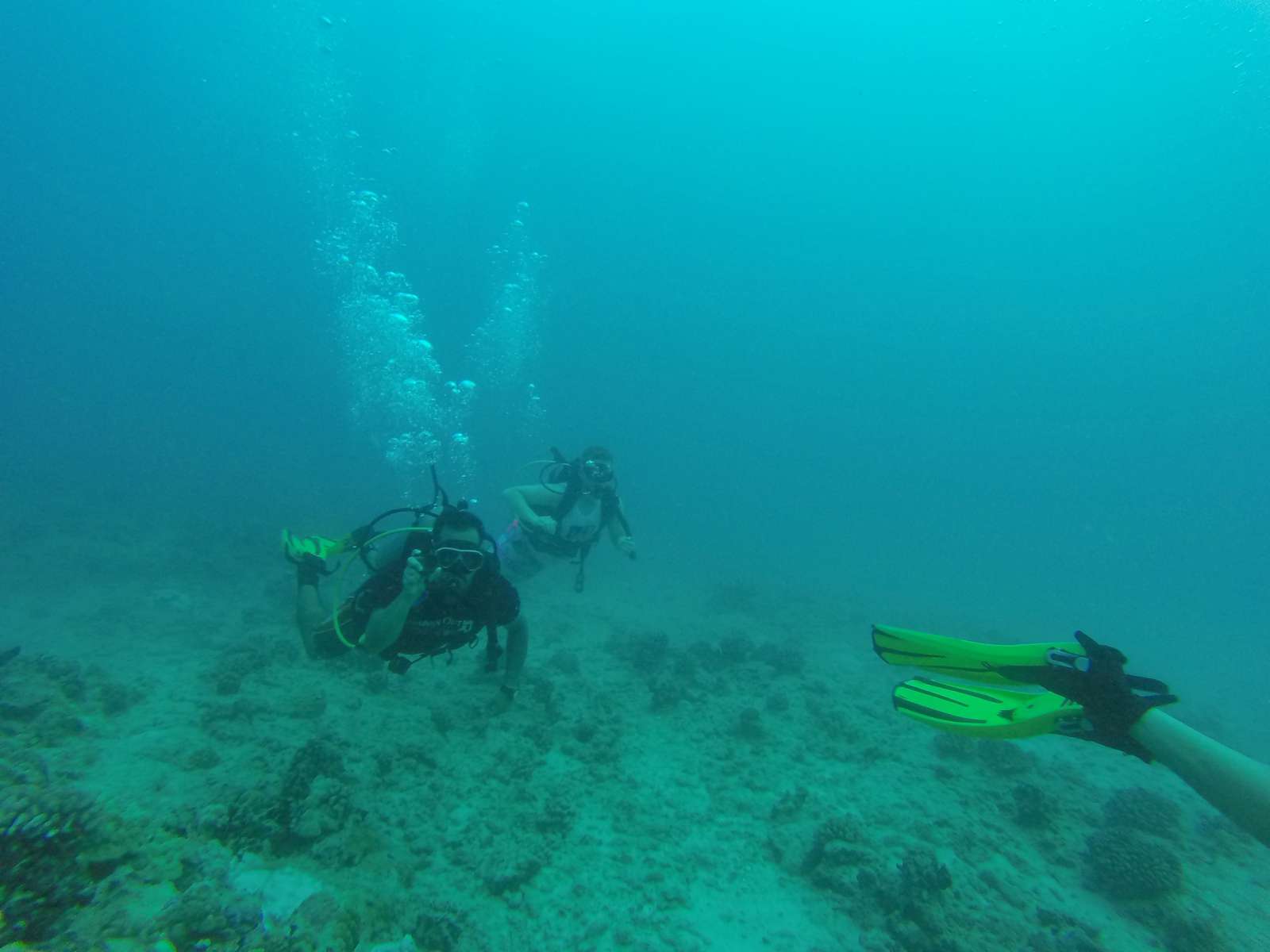 Hawaii Scuba Diving - 06-05-2016