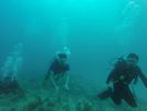 Hawaii Scuba divng 46