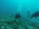 Hawaii Scuba divng 48