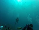 Hawaii Scuba divng 49