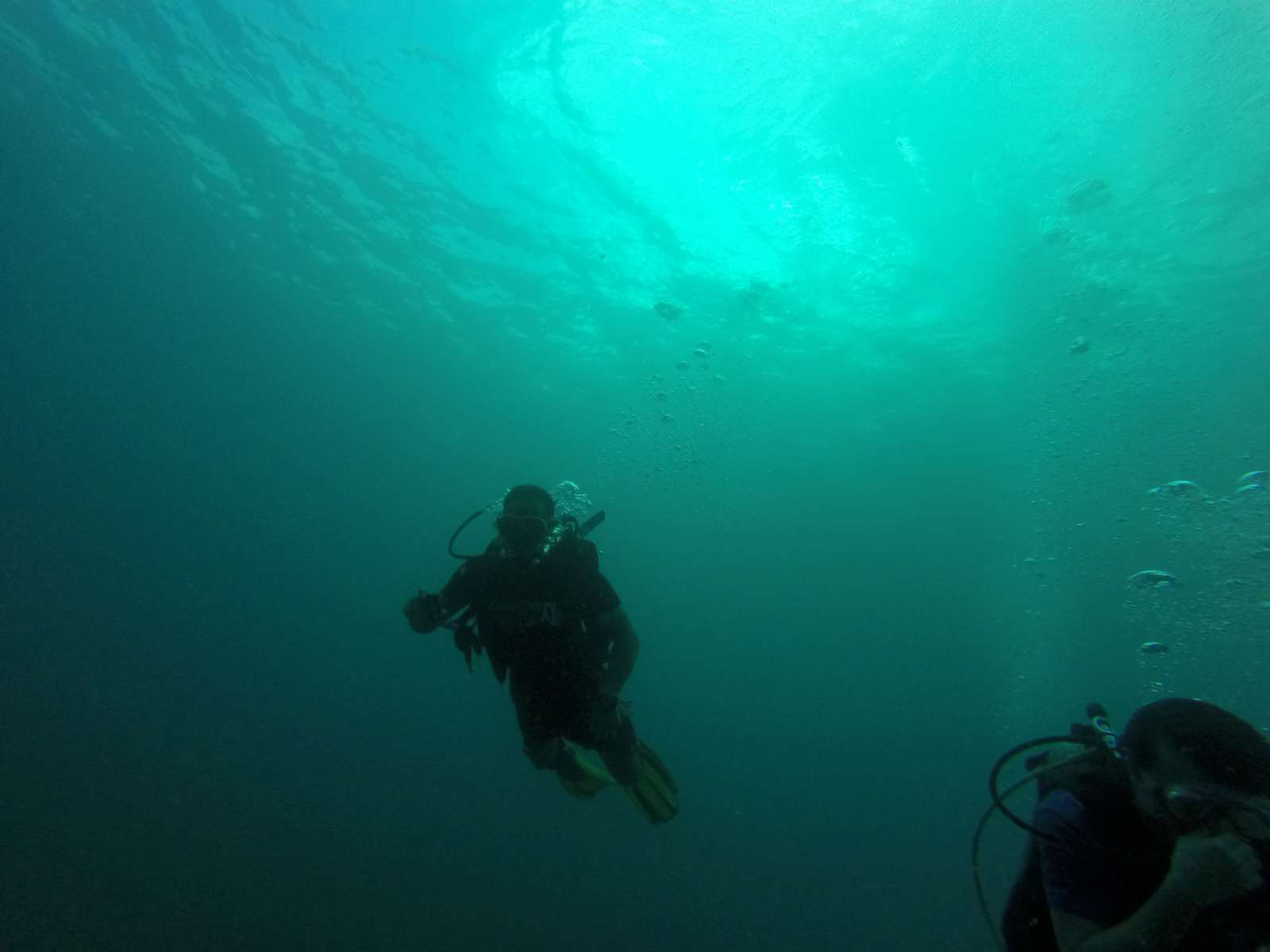 Hawaii Scuba Diving - 06-05-2016