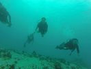 Hawaii Scuba divng 58