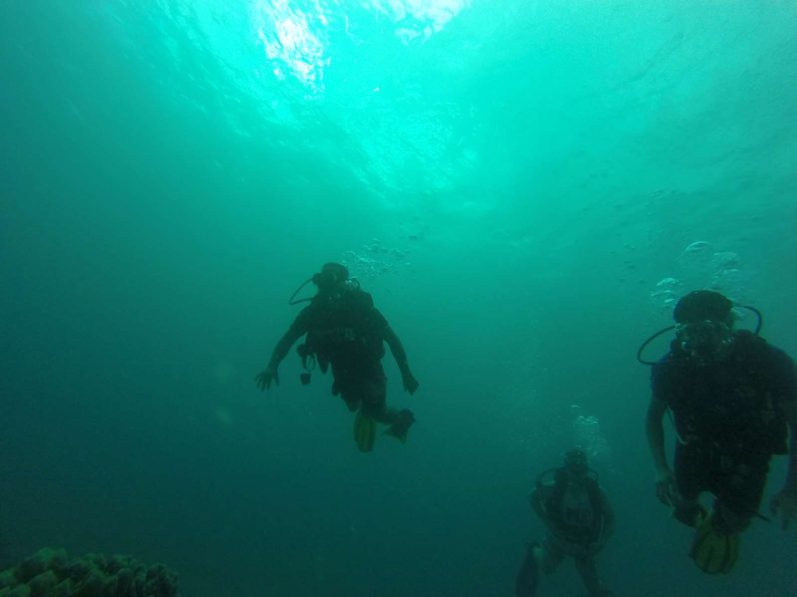 Hawaii Scuba Diving - 06-05-2016