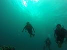 Hawaii Scuba divng 59