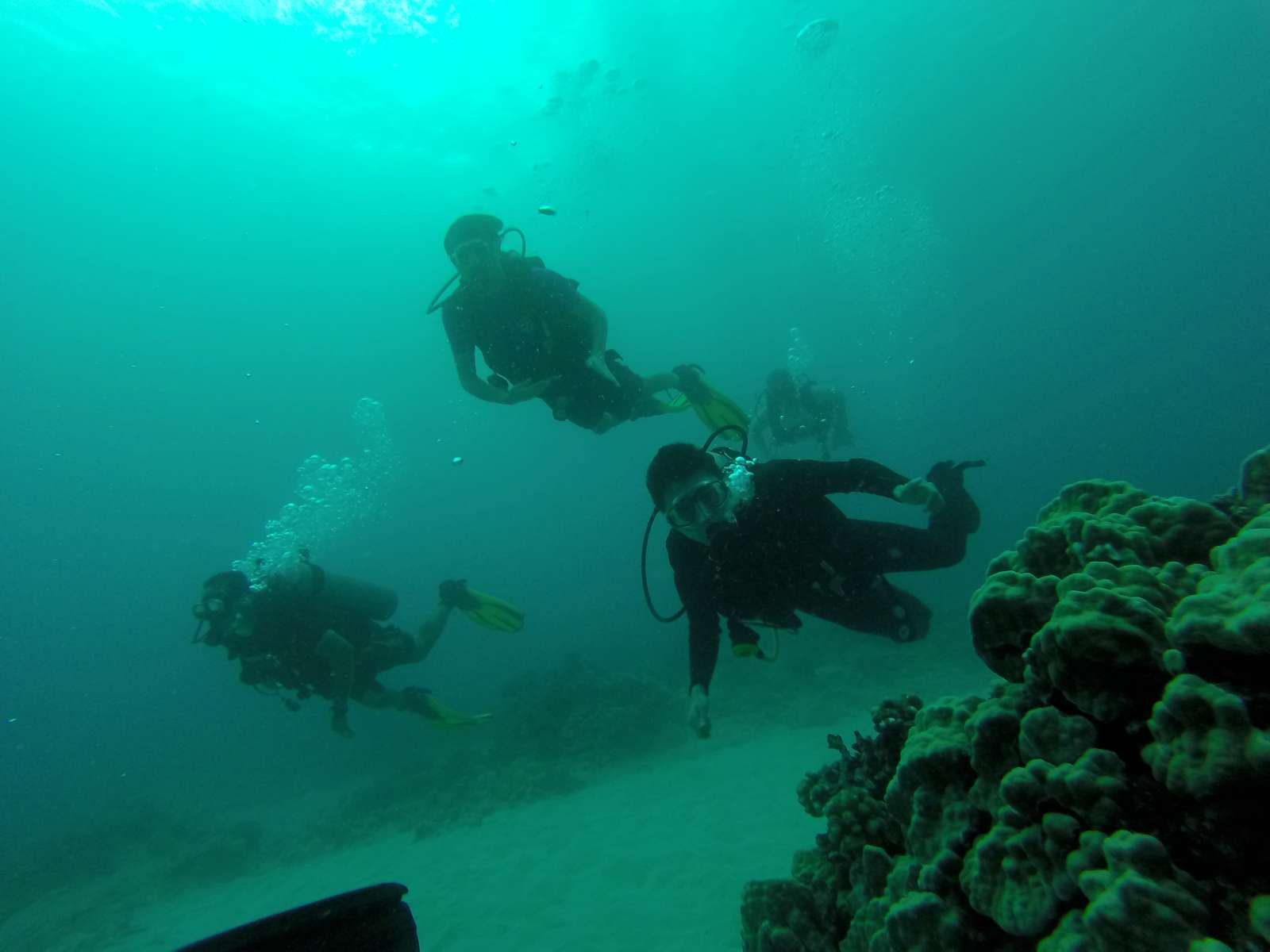 Hawaii Scuba Diving - 06-05-2016