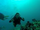 Hawaii Scuba divng 63