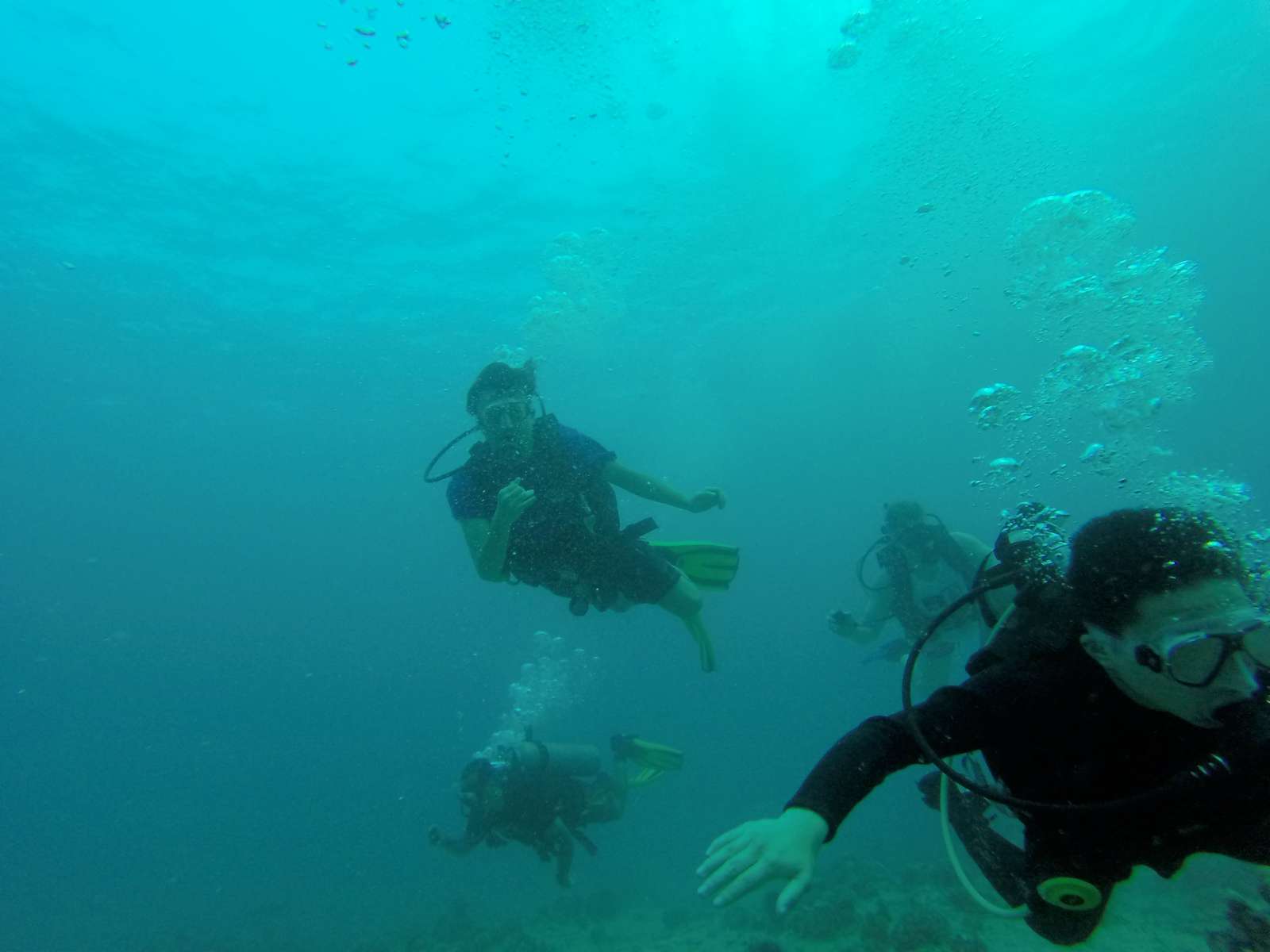 Hawaii Scuba Diving - 06-05-2016