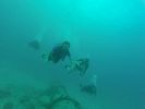 Hawaii Scuba divng 73