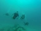 Hawaii Scuba divng 74