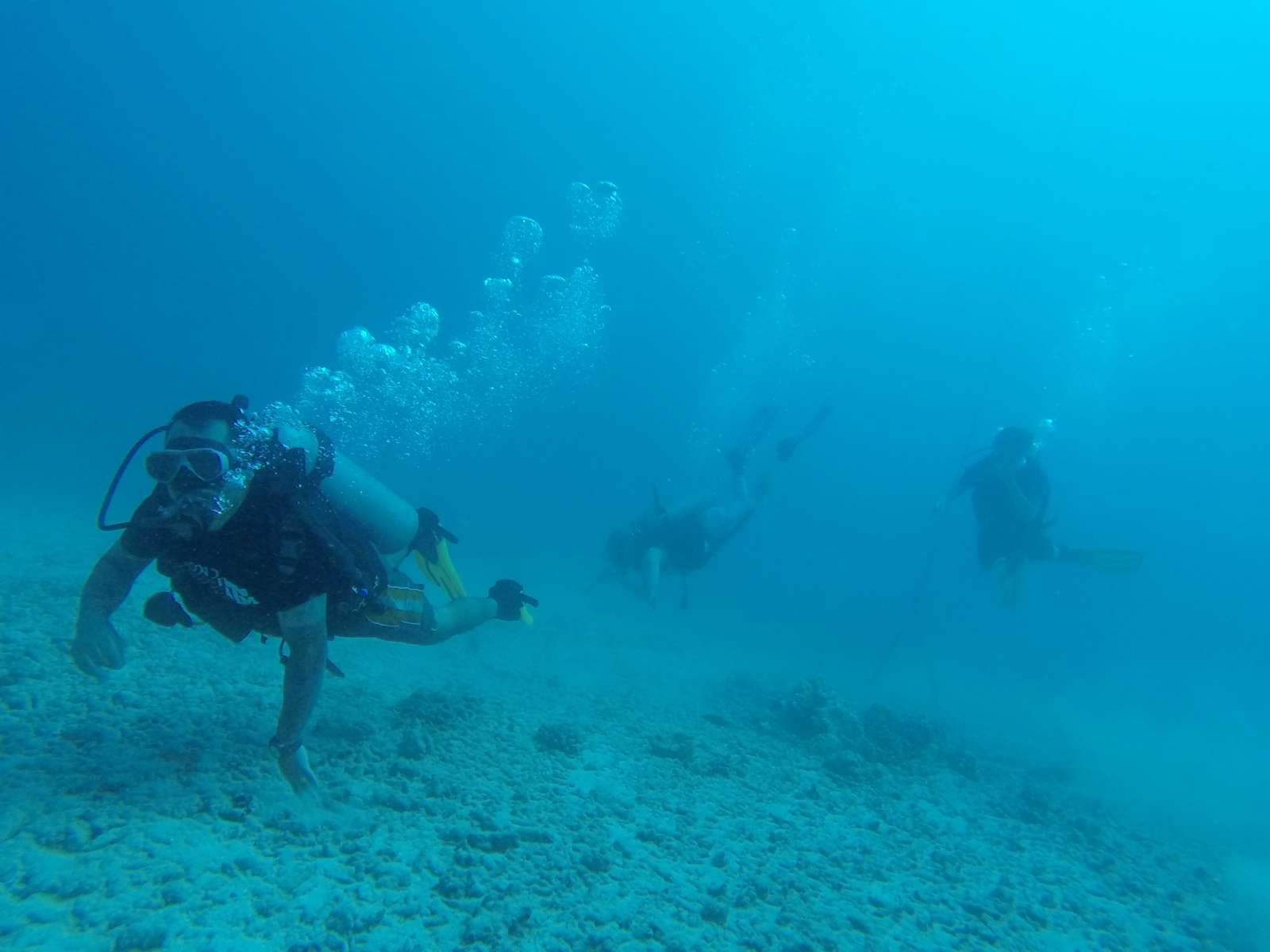 Hawaii Scuba Diving - 06-05-2016