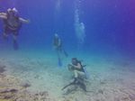 Hawaii Scuba divng 10