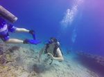 Hawaii Scuba divng 11