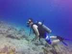 Hawaii Scuba divng 12