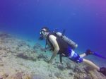 Hawaii Scuba divng 13