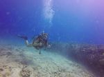 Hawaii Scuba divng 14