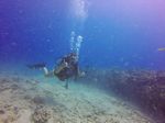 Hawaii Scuba divng 15