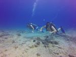 Hawaii Scuba divng 16