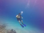 Hawaii Scuba divng 19