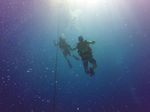 Hawaii Scuba divng 01