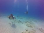 Hawaii Scuba divng 20