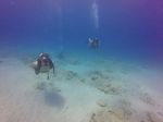 Hawaii Scuba divng 21