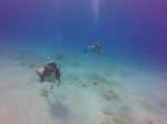 Hawaii Scuba divng 22