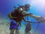 Hawaii Scuba divng 25