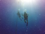 Hawaii Scuba divng 02