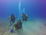 Hawaii Scuba divng 36