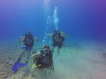 Hawaii Scuba divng 37