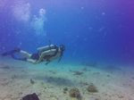 Hawaii Scuba divng 38