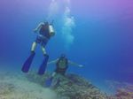 Hawaii Scuba divng 41