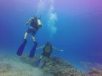 Hawaii Scuba divng 41