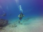 Hawaii Scuba divng 43