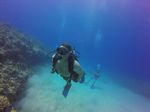 Hawaii Scuba divng 47