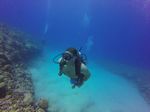 Hawaii Scuba divng 48