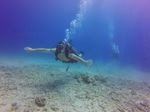 Hawaii Scuba divng 04