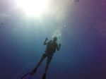 Hawaii Scuba divng 51