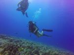 Hawaii Scuba divng 52