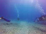 Hawaii Scuba divng 06