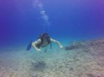 Hawaii Scuba divng 08