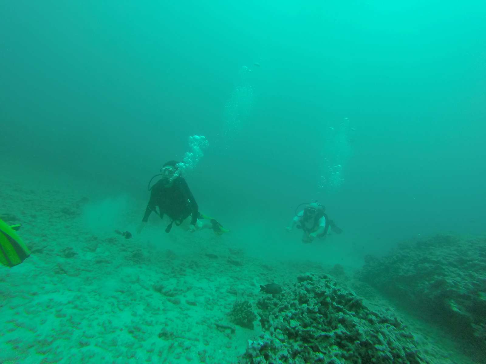 Hawaii Scuba Diving - 06-06-2016