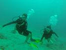 Hawaii Scuba divng 24