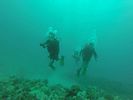 Hawaii Scuba divng 29