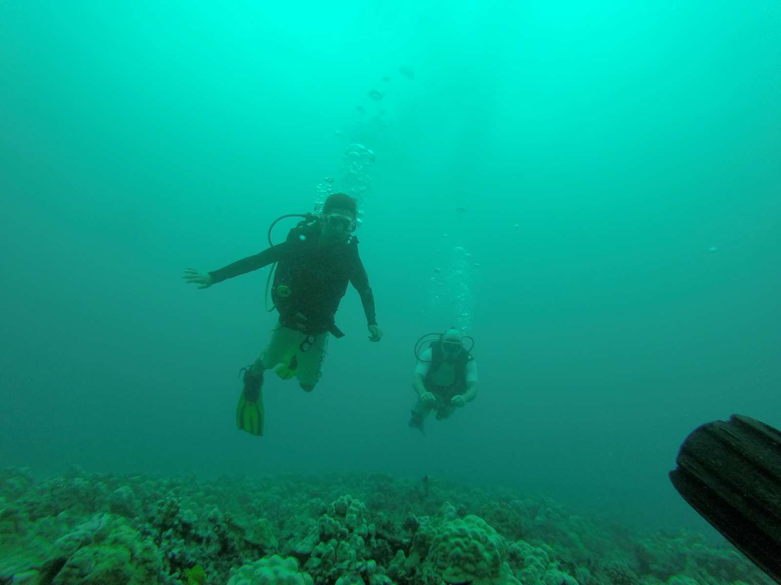 Hawaii Scuba Diving - 06-06-2016