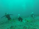 Hawaii Scuba divng 41