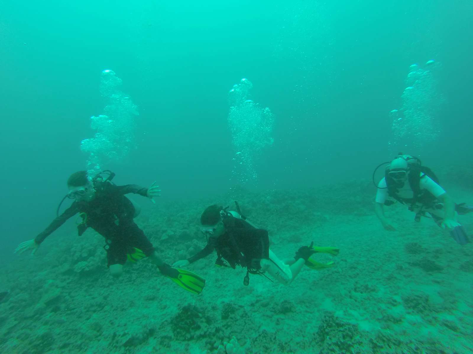 Hawaii Scuba Diving - 06-06-2016