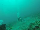 Hawaii Scuba divng 43